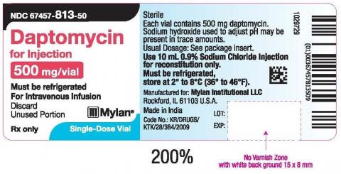 Photo 2 - Labeling, Daptomycin for Injection 500 mg/vial