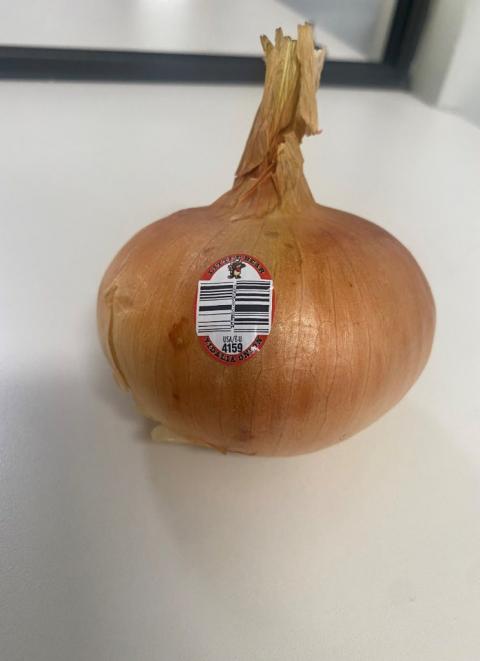 Vidalia onion with brand sticker, Little Bear brand Vidalia sweet onions (PLU 4159)