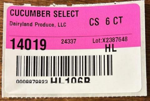 Dairyland Produce, LLC, Cucumber Select, 6 ct